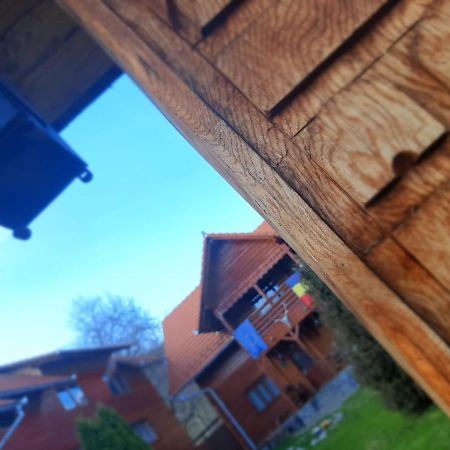 Pensiunea Codru Sălciua de Jos Exterior foto