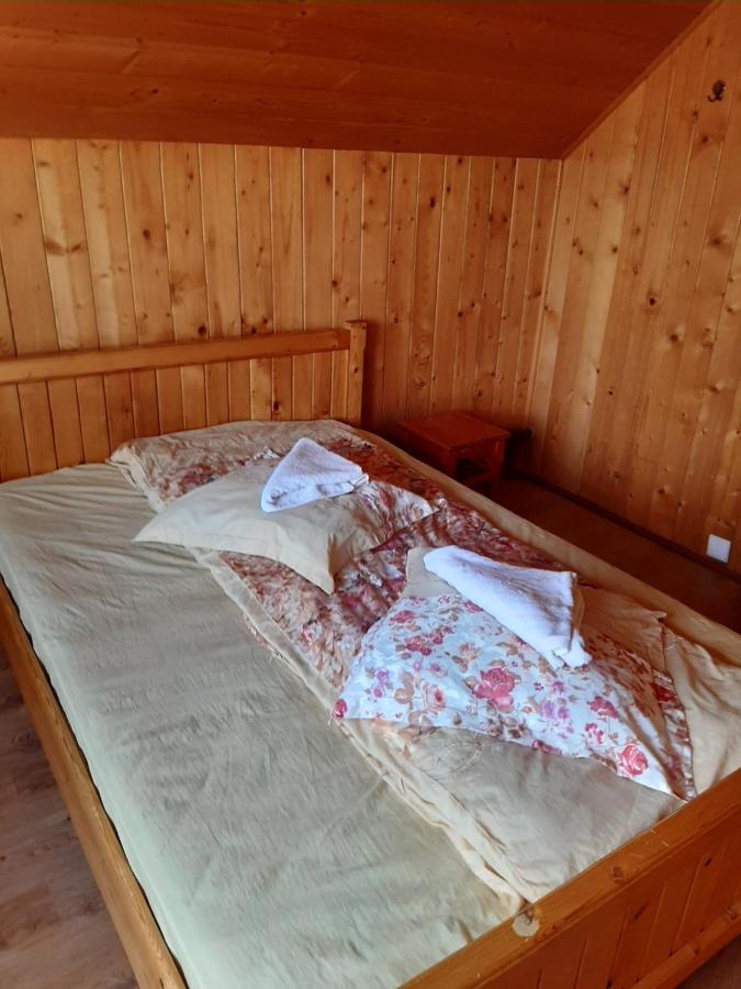 Pensiunea Codru Sălciua de Jos Exterior foto